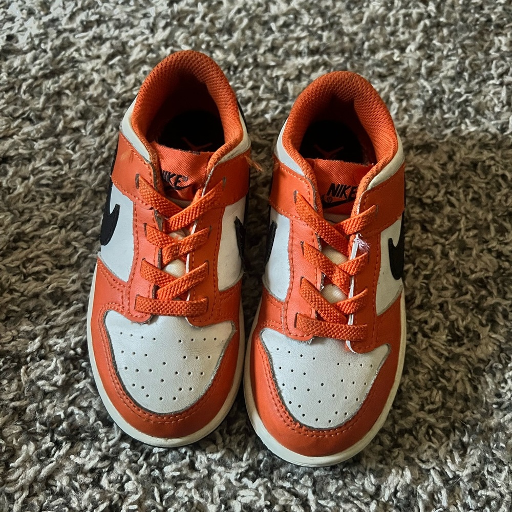 Toddler Nike Dunks